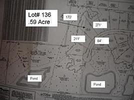 Large lot on wetland buffer. 