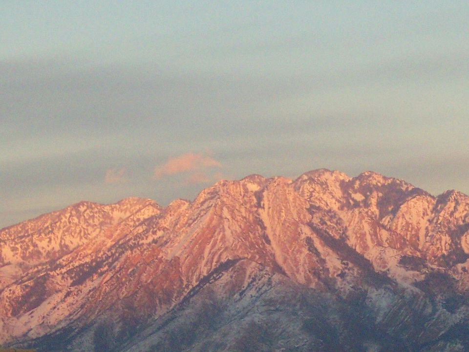view out of kitchen window