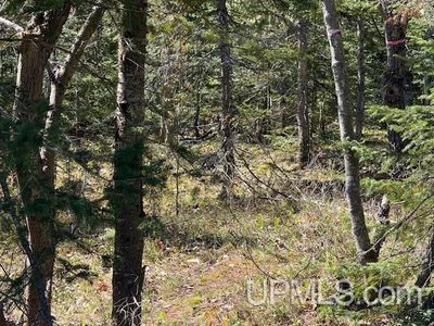 39 Harbor Coast Ln, Copper Harbor, MI, 49918