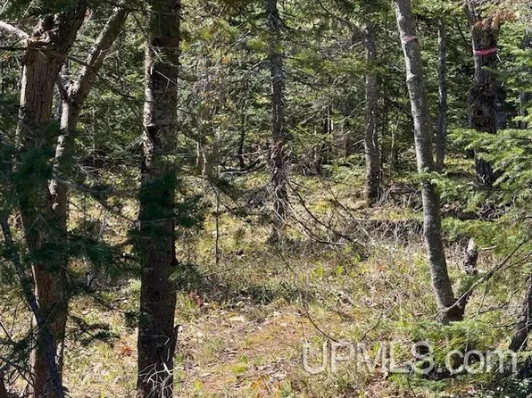 39 Harbor Coast Ln, Copper Harbor, MI 49918