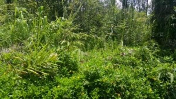 1st image of Paradise Cir Lot 24