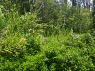 Paradise Cir LOT 24, Kurtistown, HI 96760