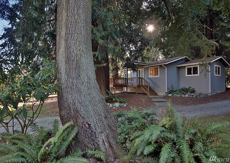 Here is a sweet cabin tucked in amongst huge old cedars...
