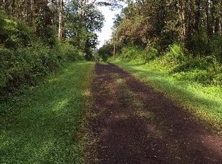 Kauai Rd LOT 291, Pahoa, HI 96778