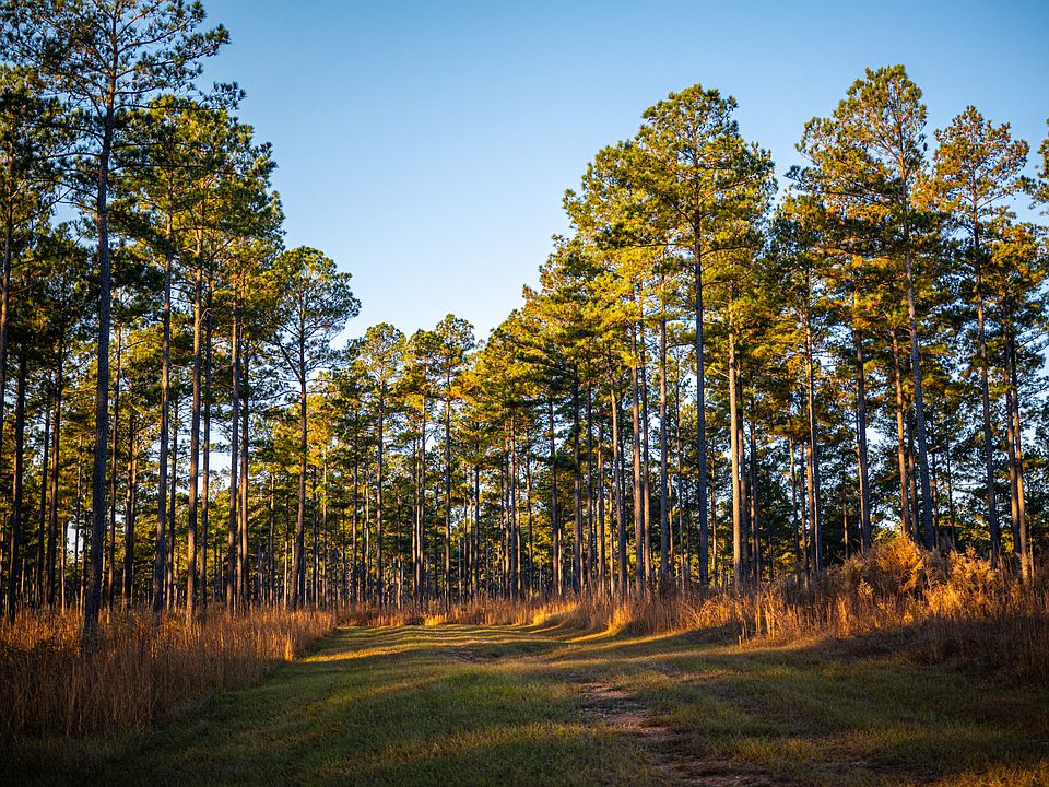 31st image of this home