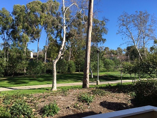 Nature Trails in Community