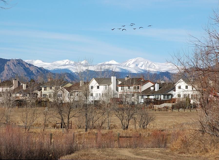 View across pasture. It's the nearly white house in the middle.