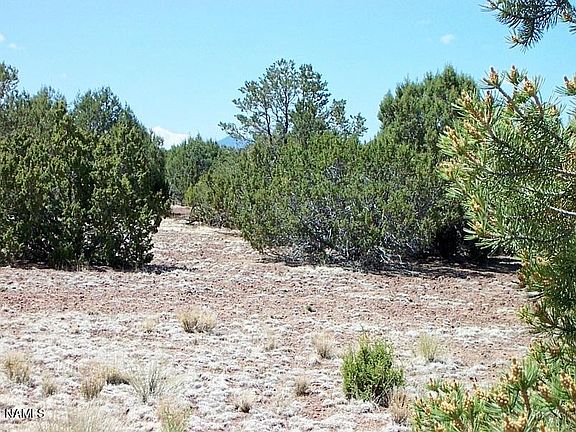 5th image of 10425 N Overlook Dr