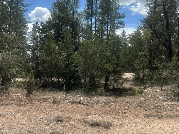 LOT 5 S Canyon Dr, Payson, AZ 85541