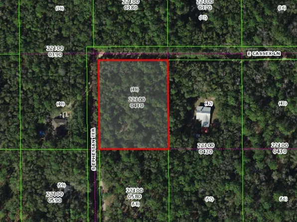8708 E Cassex Ln, Floral City, FL 34436
