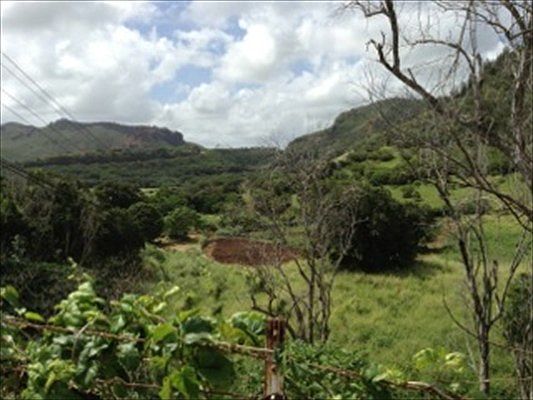 2nd image of 255 Kamokila Rd Lot 260