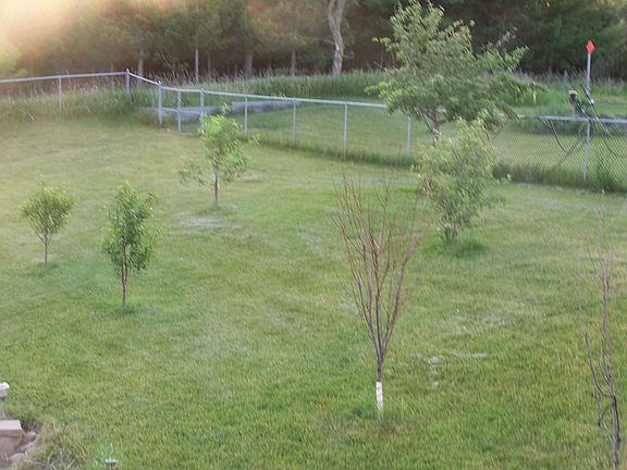 Orchard, front west side