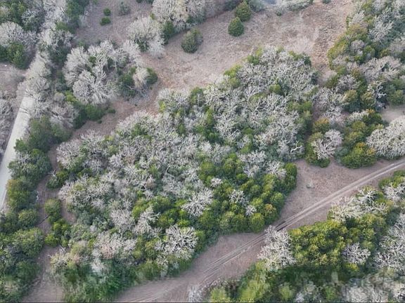 5th image of County Road 427