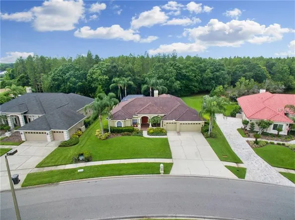 19106 Avenue Bayonnes, Lutz, FL 33558