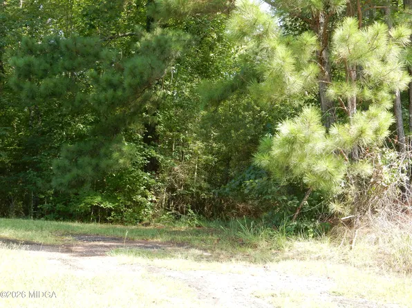 PARCEL 1 Whitaker Rd, Roberta, GA 31078
