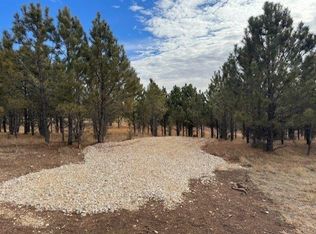 S Park Dr, Custer, SD 57730