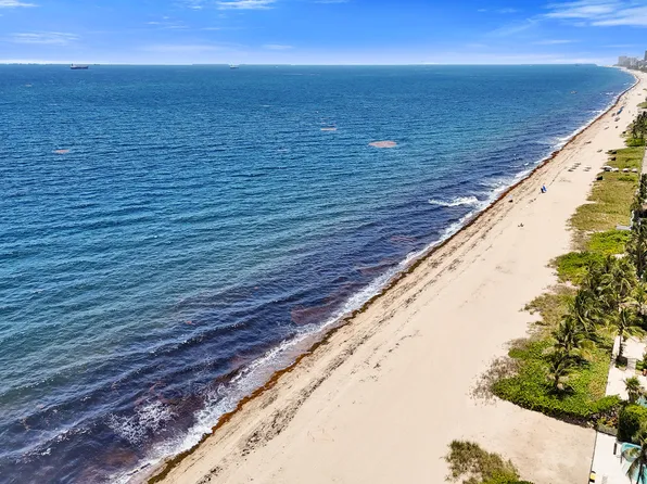 2409 N OCEAN Boulevard #626, Fort Lauderdale, FL 33305