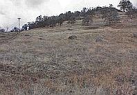 1st image of Cornflower Ln