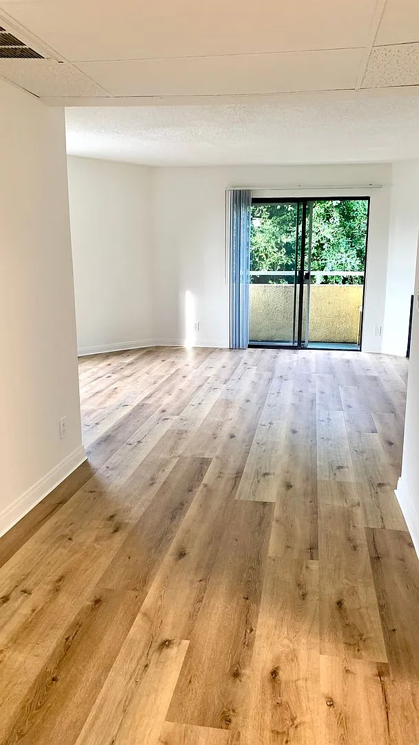 Studio, 493 sqft, $2,395 — Photo 2