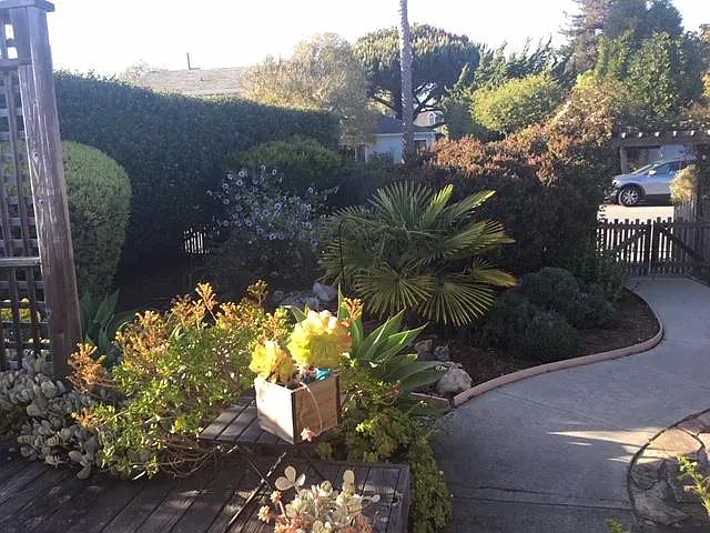 Front yard view