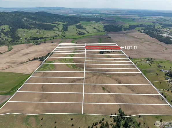 0 XXX Jackson Road Lot 17, Mica, WA 99023