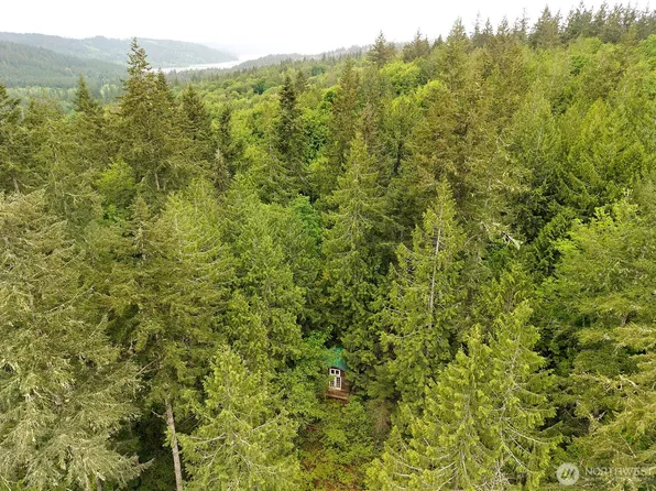 0 Taison Lane, Quilcene, WA 98376