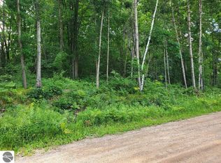 N Coldwater Rd, Mount Pleasant, MI 48858