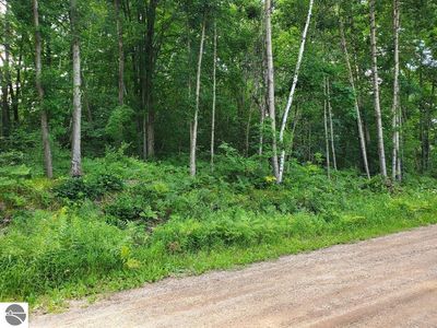 N Coldwater Rd, Mount Pleasant, MI, 48858