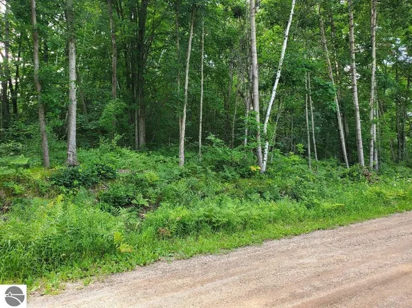 N Coldwater Rd, Mount Pleasant, MI 48858