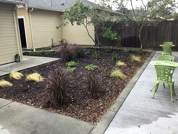 Back yard - backs up to Fairview Park
