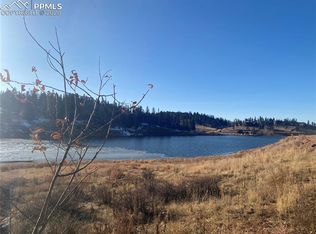 86 Lake Dr E, Divide, CO 80814