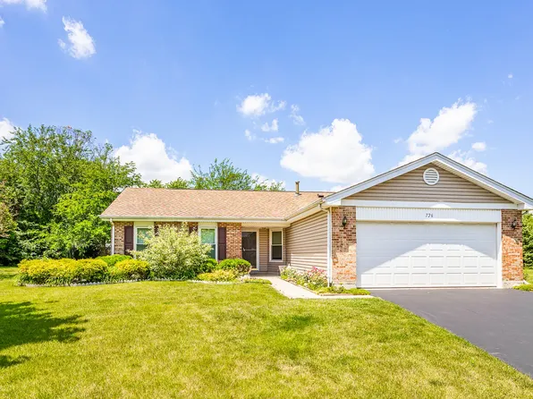 726 Clarendon Springs Ct, Schaumburg, IL 60194