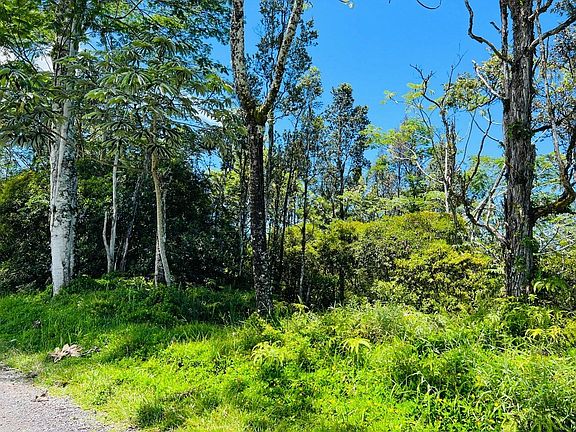 3rd image of 11th Avenue Kika Lot 1508