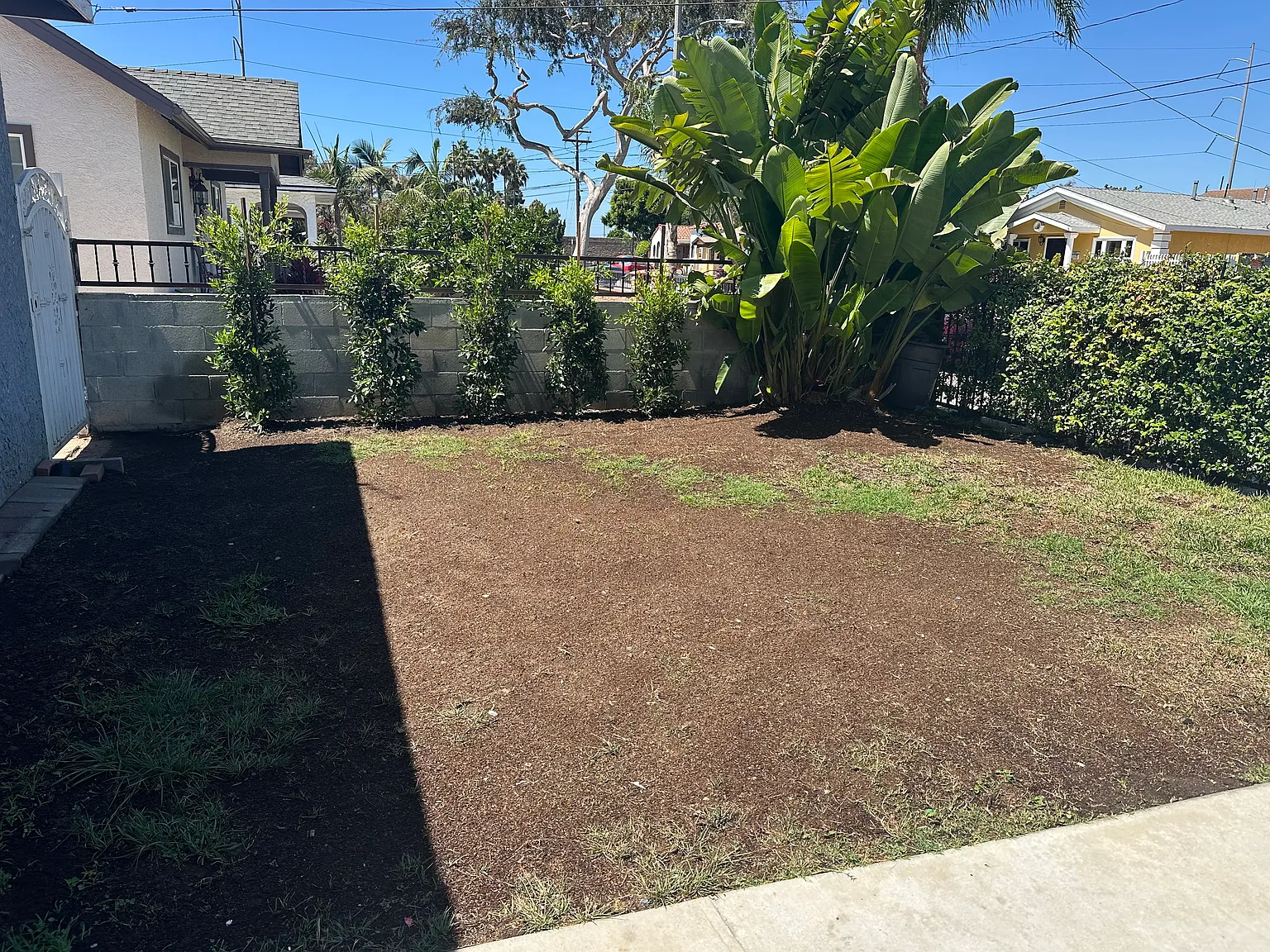 2 bed, 900 sqft, $3,000 — Photo 3