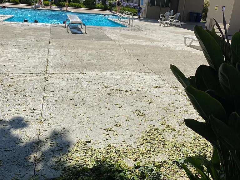 9842 Verde Mar Dr — Photo 43