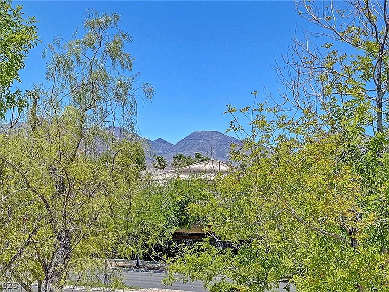 229 N Buteo Woods Ln — Photo 65