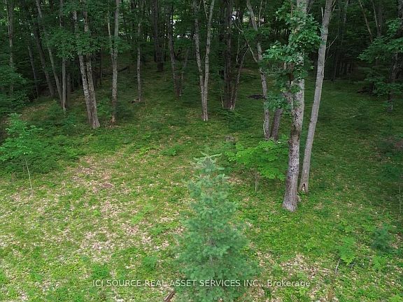 3rd image of 125 Ritchie Ave