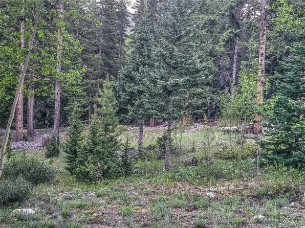 0 Ute Trl, Alma, CO 80420