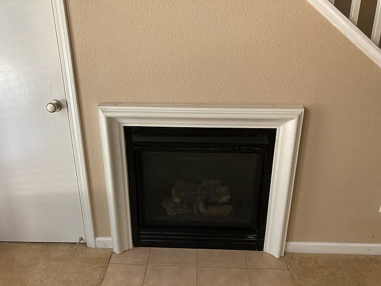 421 Constantine Ct — Photo 8