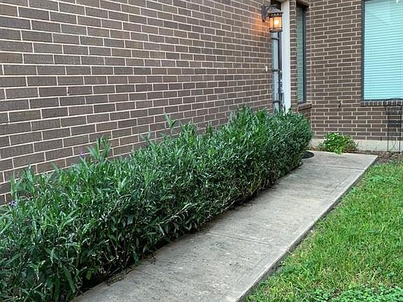 3rd image of 1611 Rosewood St