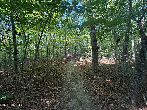 3rd image of 0 Muddy Branch Rd