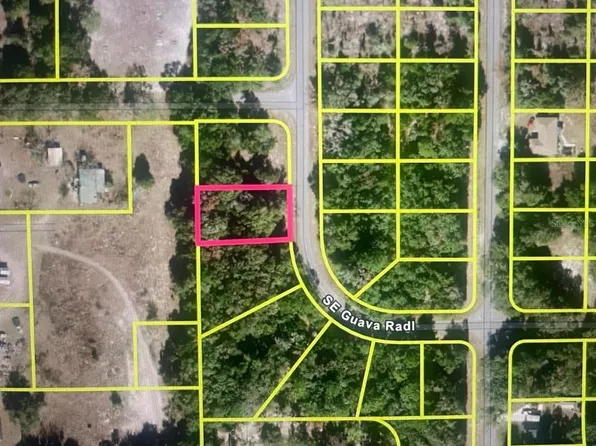 Guava Terrace Radl Lot 13, Ocklawaha, FL 32179