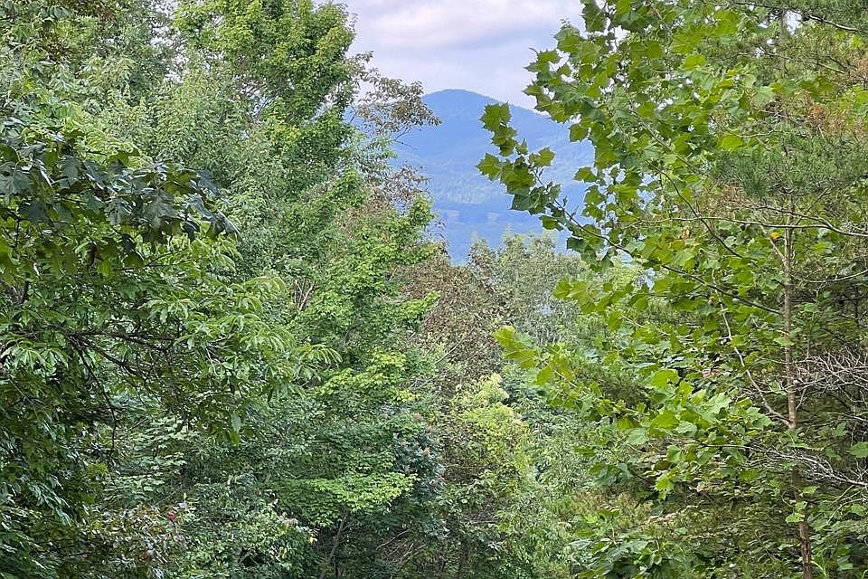 1st image of LOT 11 The Preserve