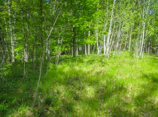 10401 Kapalin Ln, Pound, WI 54161