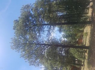 2892 Center Rd, Overgaard, AZ 85933