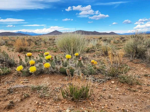 0 Uris Avenue, San Acacio, CO 81151