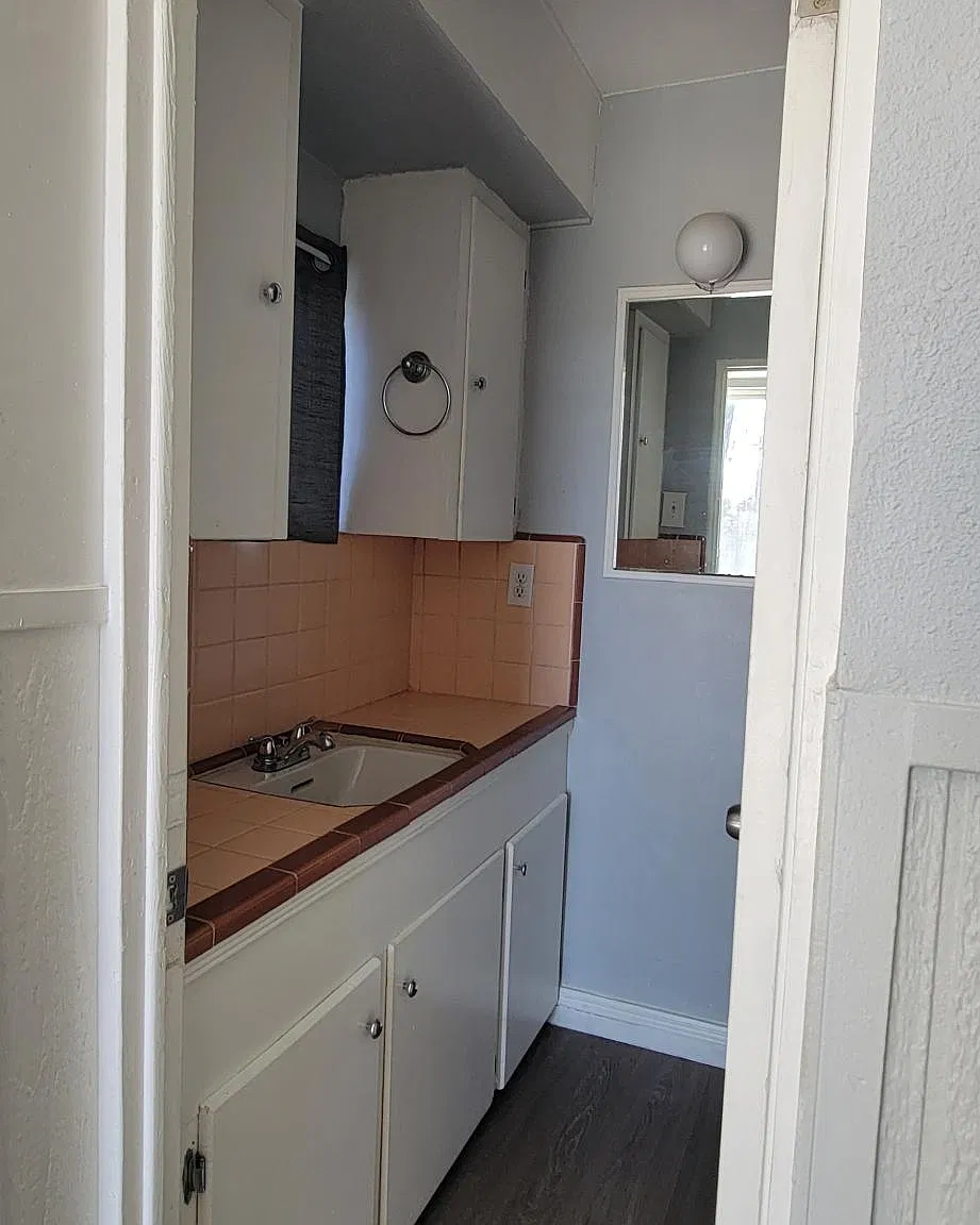 1 bed, 450 sqft, $1,500 — Photo 4