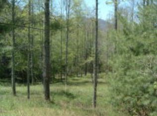 3-1 Trails End Rd, Bryson City, NC 28713