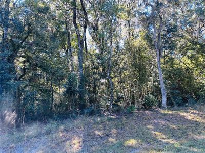 0 NW 86th St LOT 23, Chiefland, FL, 32626
