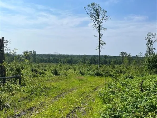 24405 East Stoney Lonesome Road, Boyd, WI 54726